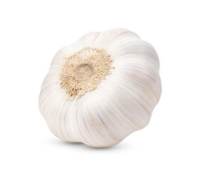 garlic on white background