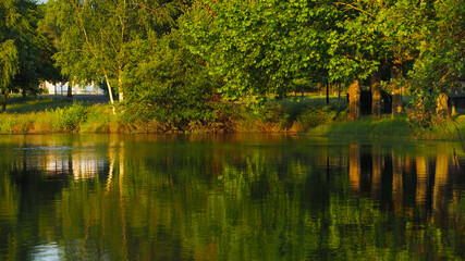 Magnifiques reflets d'arbres sur un petit &eacute;tang d'un village