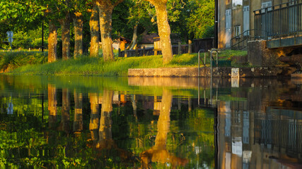 Magnifiques reflets de platanes jonchant une petite route, dans un village des Landes