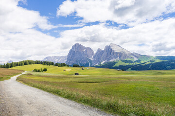 hiking trail and mountains in the back, in Alpe di Siusi, Dolomites, South Tyrol, Italy