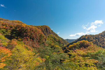 紅葉の山々