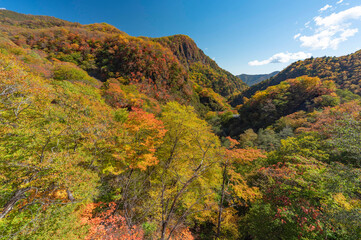 紅葉の山々