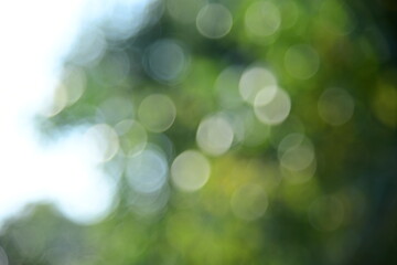 abstract bokeh background