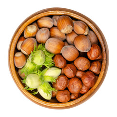 Ripe and unripe hazelnuts in a wooden bowl. Green, unripe hazelnuts in husk with shelled and unshelled hazelnuts. Seeds of Corylus avellana. Close-up from above, over white, isolated macro food photo.