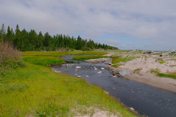 taiga river that flows into the White sea