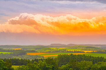 北海道の大草原のイメージ