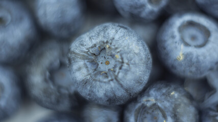 Close-up of ripe juicy blueberries on a white background.