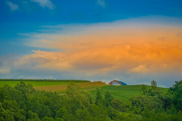 北海道の大草原のイメージ