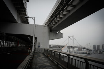 東京都・レインボーブリッジ（モノクローム加工）