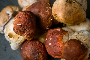 Many, Delicious, ready to cook Mushrooms,  close up photography with copy space on a dark grey background 