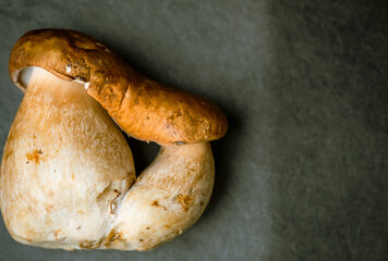 Many, Delicious, ready to cook Mushrooms,  close up photography with copy space on a dark grey background 