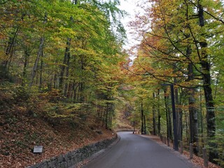 Obraz premium Munich Skyline and Landscapes.