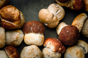 Many, Delicious, ready to cook Mushrooms,  close up photography with copy space on a dark grey background 