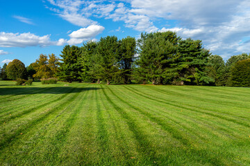 Large mowed grass area by trees in a park