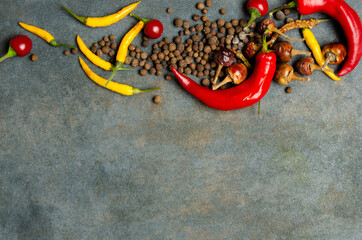 Top view of row of dried and fresh spicy pepper, peppercorns on the rustic grey surface.Empty space