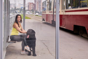 Dog and female owner wait for tram on city street.