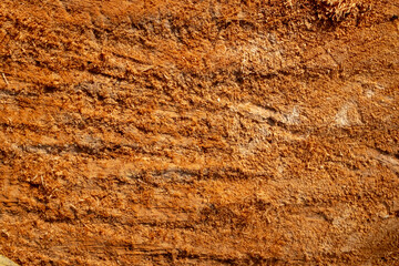 Light brown rough unpolished rough texture of saw cut wood. Background and close-up.