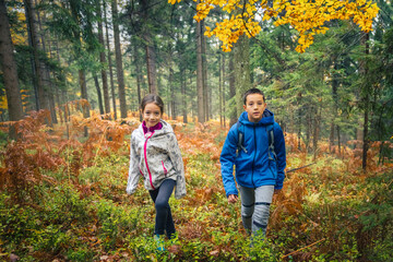 Fototapeta premium Autumn activity in the forest for healthy life. Children exploring colourful autumn forest.