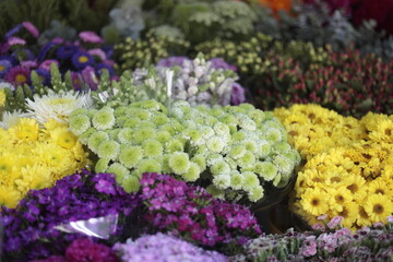 floren en el mercado