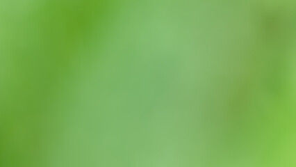 Abstract green nature background picture.