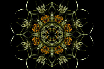 abstract colorful seamless pattern with floral motifs from flowers and leaves