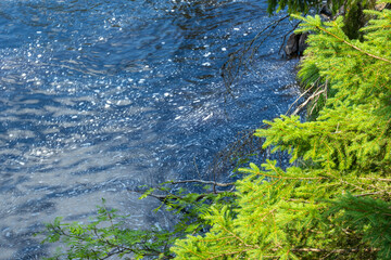 beautiful landscape with cascading waterfall, natural pond, river, plants in summer in an eco-friendly place Karelia, Russia