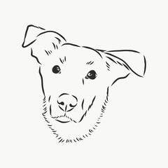 Silhouette simple head dog. Vector illustration. portrait of a dog, vector sketch illustration