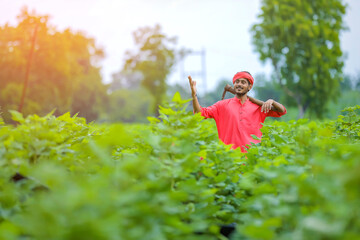 Young indian farmer holding farm equipment in hand at cotton fie