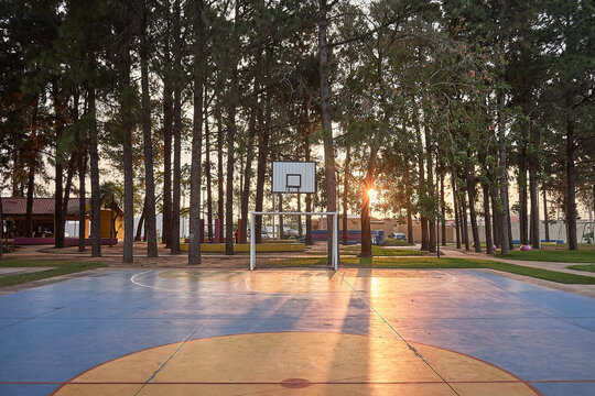 aro de basquet, bosque de pinos, atardecer, cancha de basquet