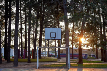 aro de basquet, bosque de pinos, atardecer, cancha de basquet