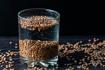 lentil beans are soaked in a glass of water.