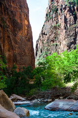 Utah's Zion canyon's soaring towers and monoliths have a quiet grandeur. The Virgin River has worn down the sandstone to create the amazing  scenery.There is a path by the river to explore the park