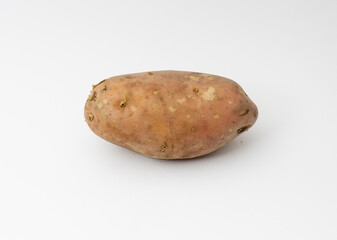 Single organic potato isolated on white background