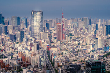 Fototapeta na wymiar 渋谷スカイから見える東京の街並み