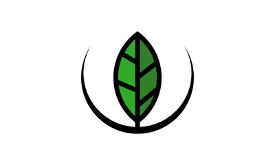 ecology leaf nature logo
