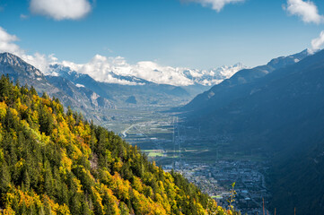 autumn forest over Vallée du Rhone in Valais