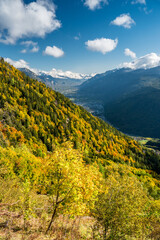 autumn forest over Vallée du Rhone in Valais