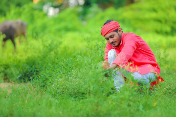 Young indian farmer working in his field