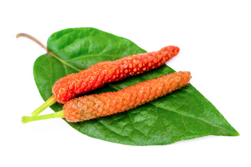 Fresh Idian long pepper ( Piper Longum, Piper retrofractum ) with green leaves isolated on white background 