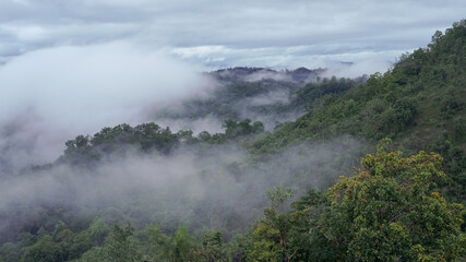 Morning mist & cloudy sky on green forest of Umphang district, Tak, Thailand