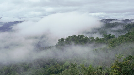 White cloud cover top of the mountain with green forest in Umphang, Tak, Thailand