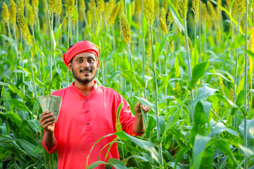 indian farmer counting and showing indian rupees at sorghum field