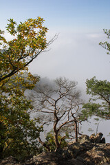 Czech national park. Foggy view. 