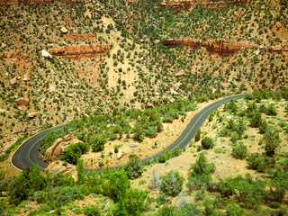 Obraz premium Utah's Zion canyon's soaring towers and monoliths have a quiet grandeur. The Virgin River has worn down the sandstone to create the amazing scenery.There is a path by the river to explore the park