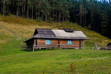 Secluded cabin in the woods