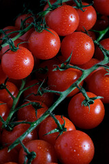 Lots of ripe fresh cherry tomatoes on a branch in drops of water.