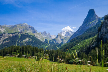 Fototapeta premium Mountain and pastures landscape in French alps