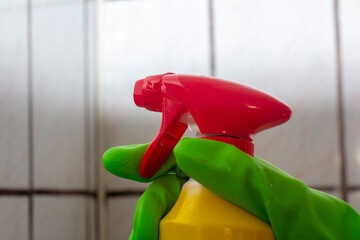 Treatment of walls affected by mold