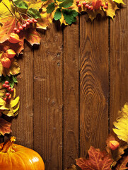 Naklejka na ściany i meble autumn background with colored leaves