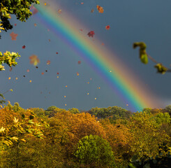 Regenbogen nach Regen am dunklen Himmel mit Laub im Vordergrund